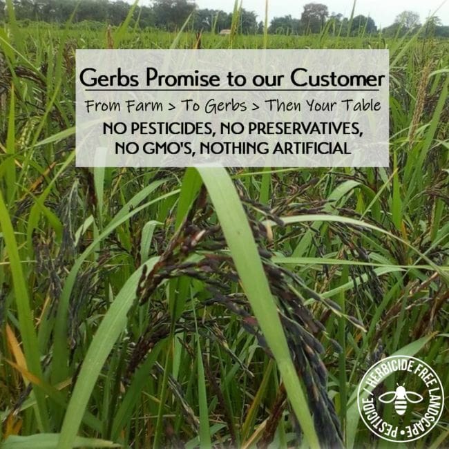 Canadian Black Wild Rice Preservative free all natural ingredients