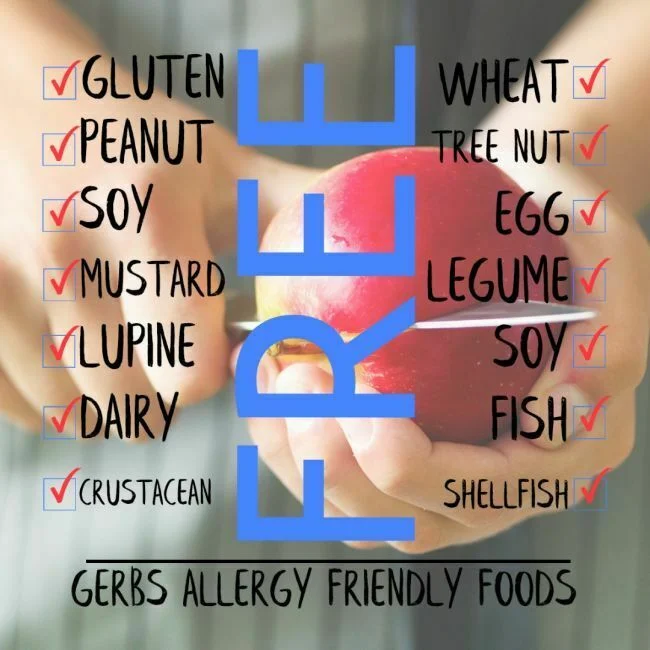 Dried Premium USA Grade Sugar & Cinnamon Apple Cubes, Resealable Bag Free from Top 14 Food Allergens