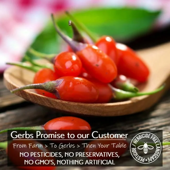 Dried Premium Grade Goji Berries, aka Wolfberry, Resealable Bag Preservative free all natural ingredients