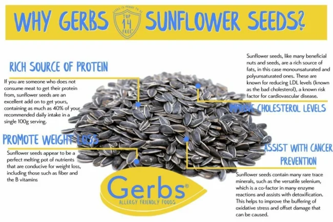 Jumbo Raw Premium USA Grade Sunflower Seeds, In Shell, Resealable Bag Health Benefits