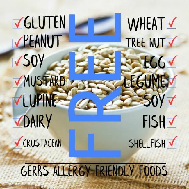 Sea Salted Roasted Premium USA Grade Sunflower Seed Kernels, out of shell, Resealable Bag Free from Top 14 Food Allergens