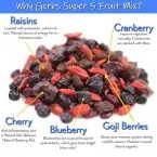 SUPER 5 DRIED FRUIT MIX, Cranberries, Raisins, Blueberries, Cherries, Goji Berries, Resealable Bag Health Benefits