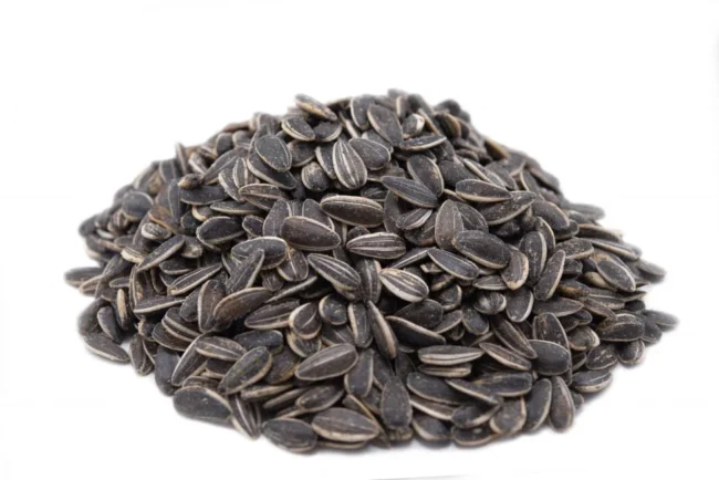 Toasted Onion & Garlic Dry Roasted Sunflower Seeds, In Shell, Resealable Bag